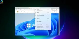 Microsoft Edge for Windows 11 with split screen
