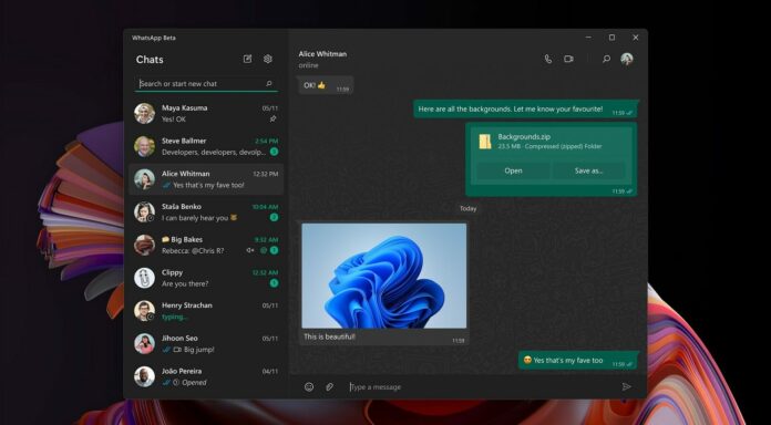 WhatsApp for Windows 11 screen sharing