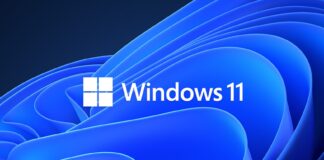 Windows 11 24H2 support document