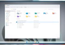 Windows 11 File Explorer UI